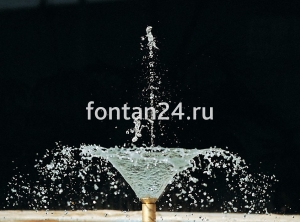 Фонтанная насадка Arum Lily jet 1" Фонтанная насадка Arum Lily jet 1"